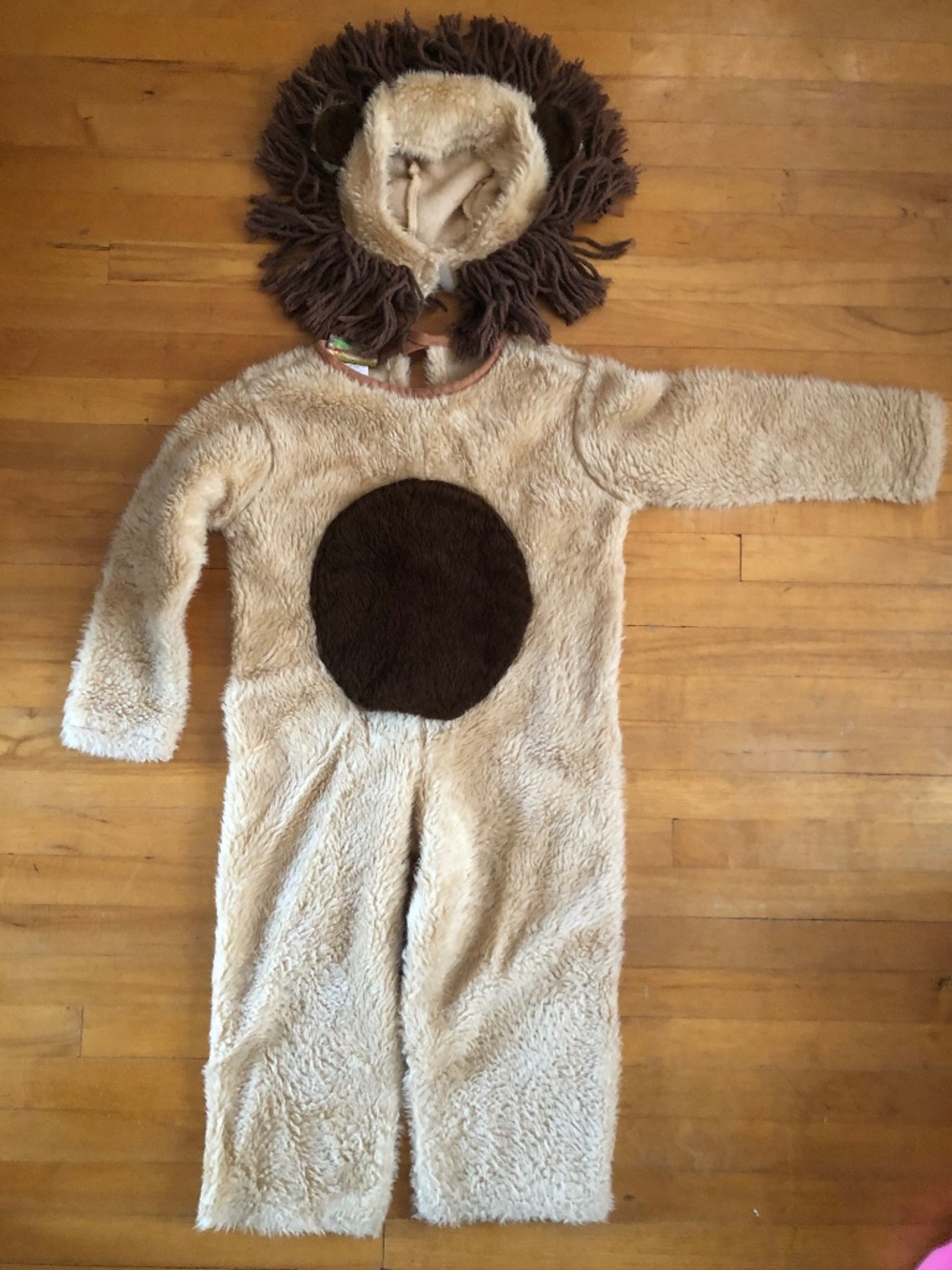 Lion halloween costume, 2-year old